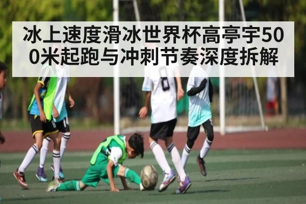冰上速度滑冰世界杯高亭宇500米起跑与冲刺节奏深度拆解